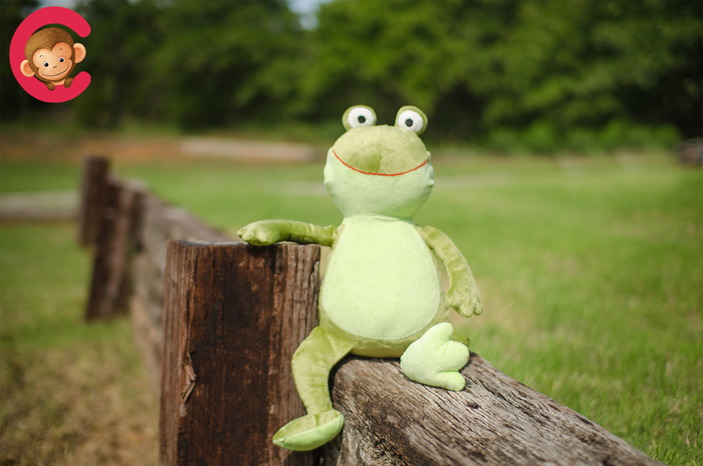 Personalized Stuffed Green Frog