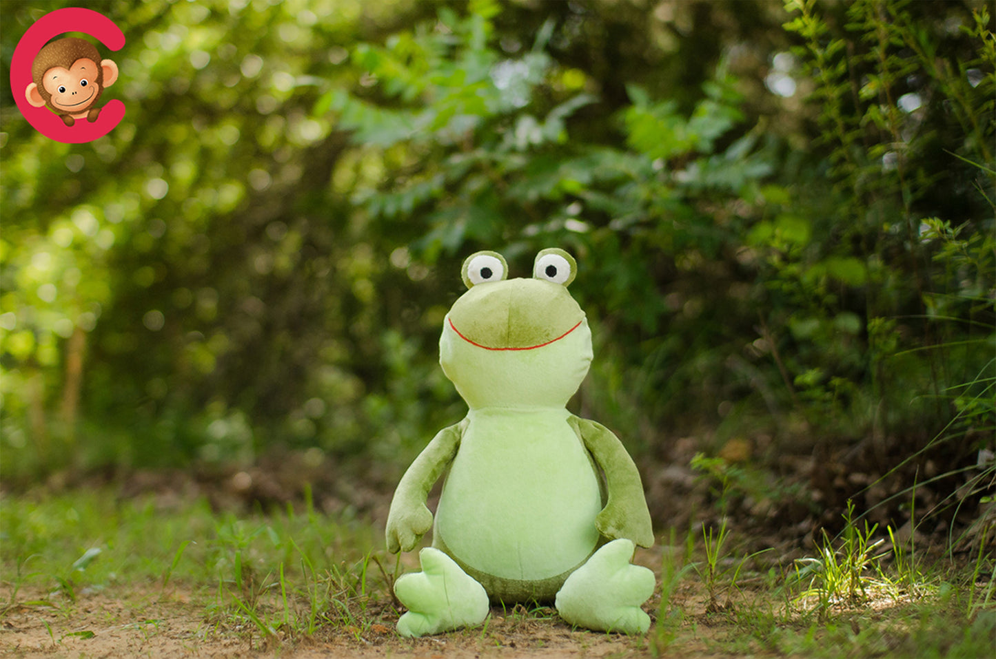 Personalized Stuffed Green Frog