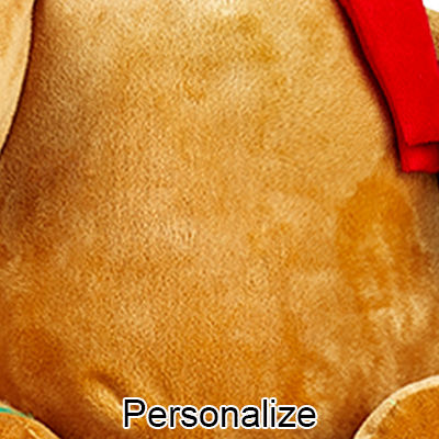 Personalized Stuffed Scarf Gingerbread Man