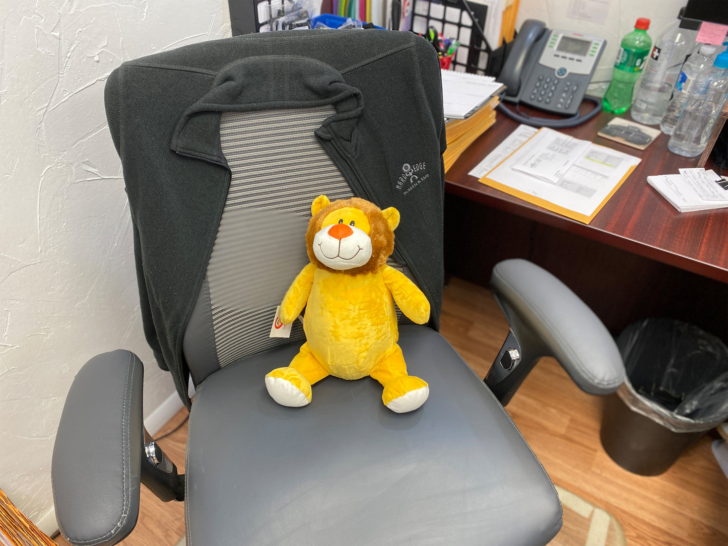 Personalized Stuffed Yellow Lion