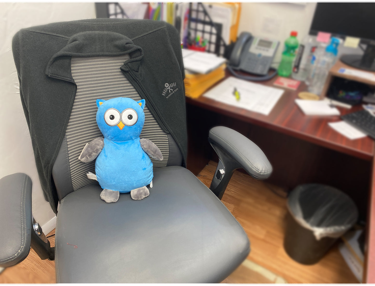Personalized Stuffed Blue and Grey Owl