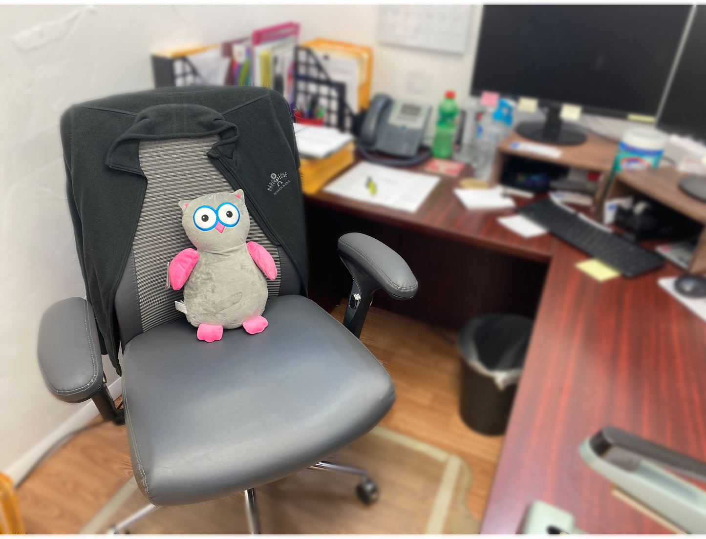 Personalized Stuffed Grey and Pink Owl