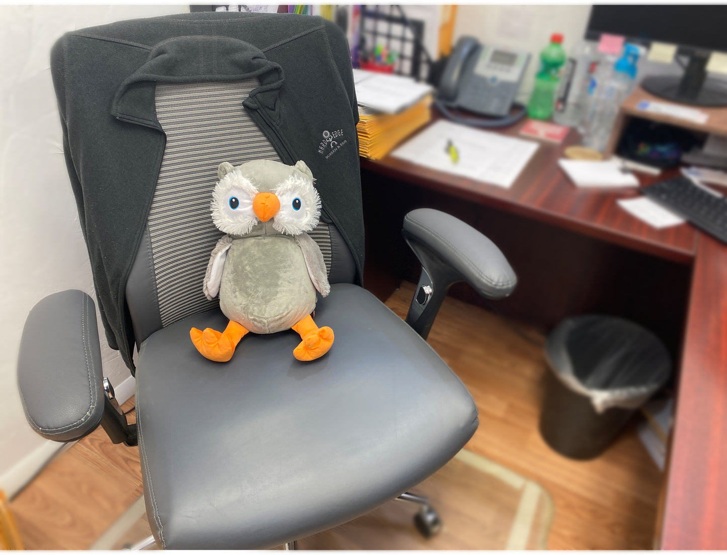 Personalized Stuffed Fuzzy Grey and Orange Owl