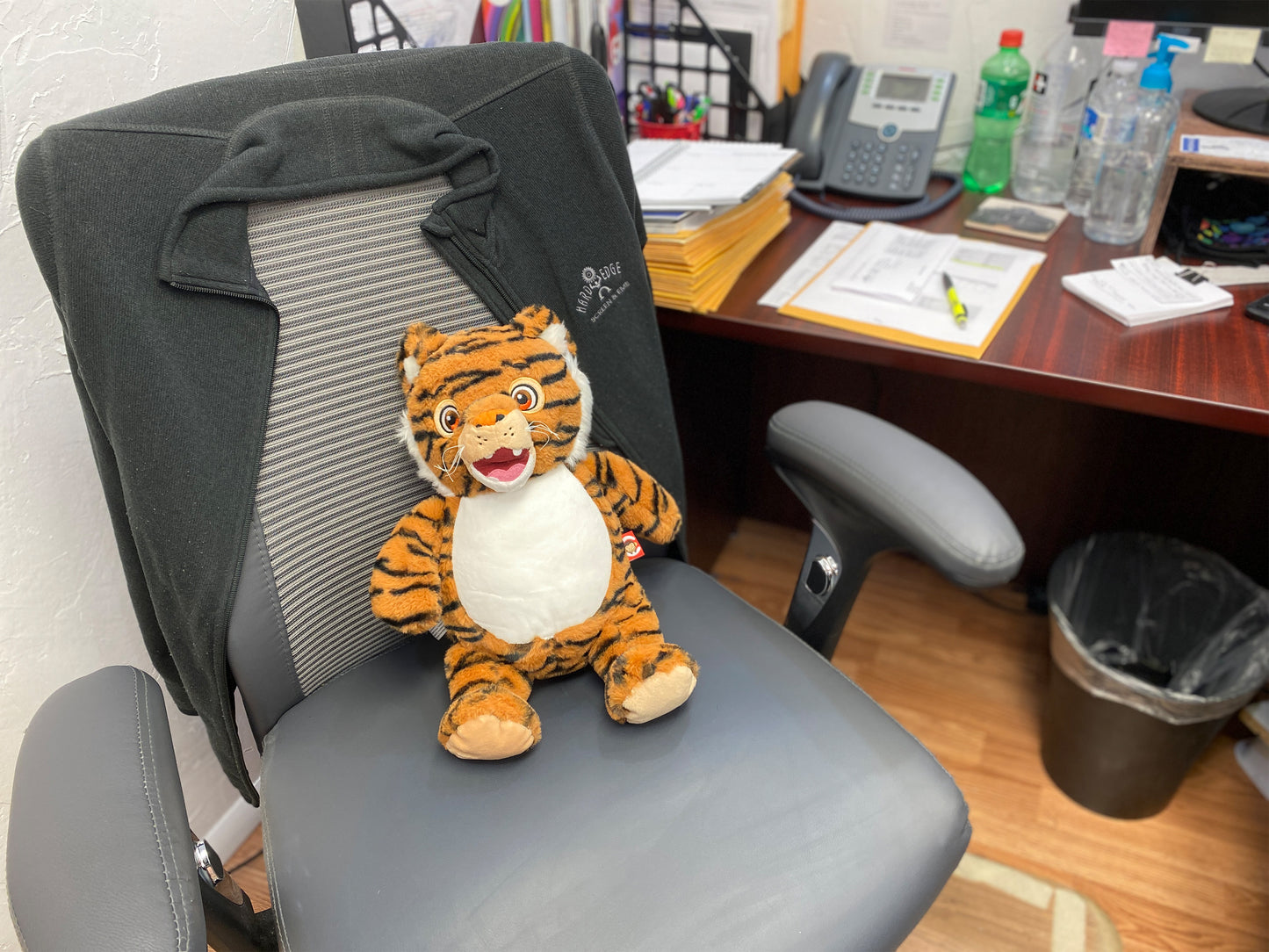 Personalized Stuffed Orange Signature Tiger