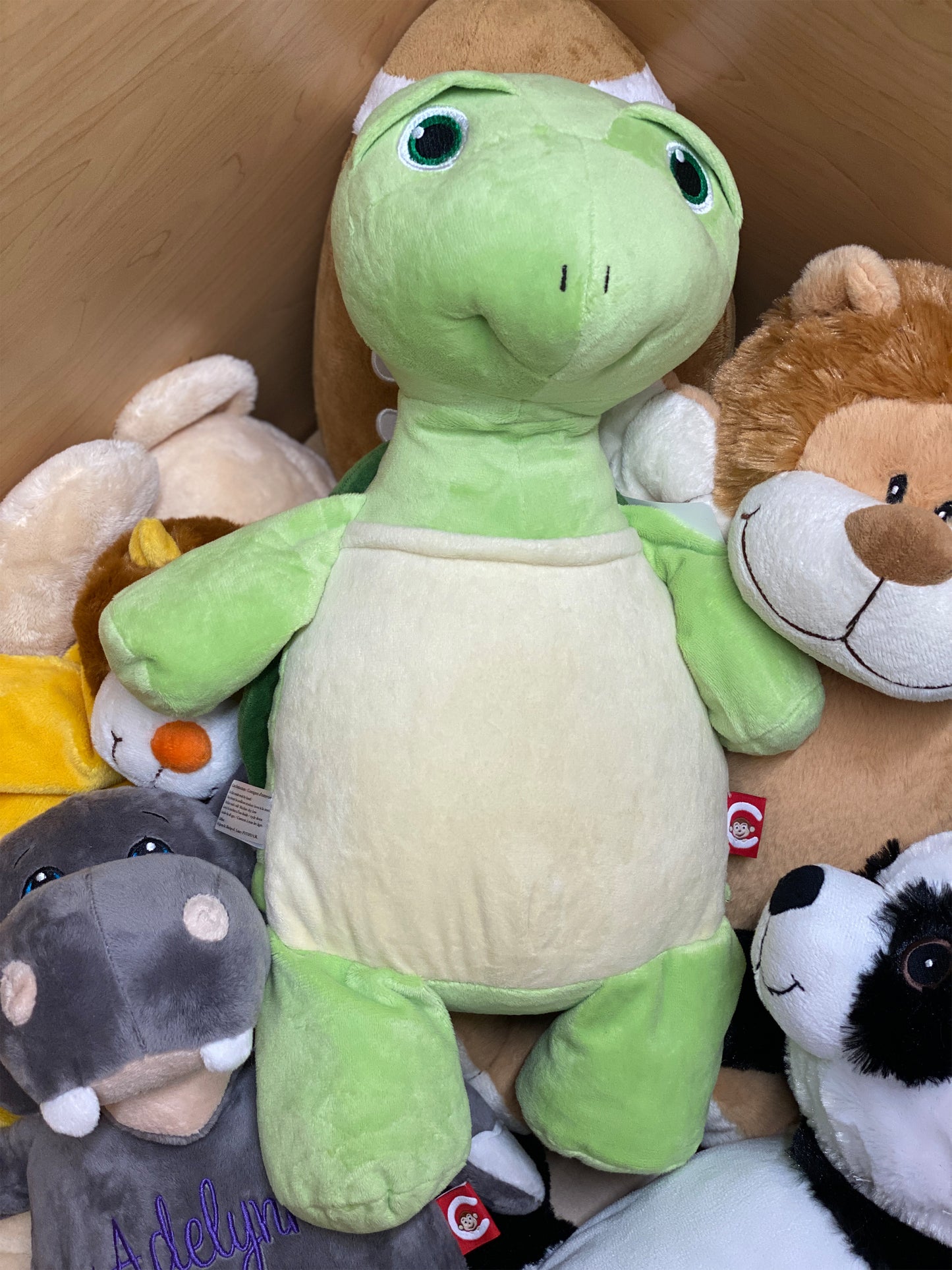 Personalized Stuffed Green Turtle